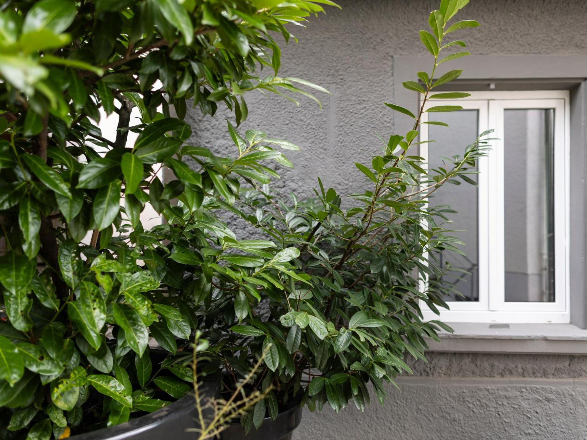 The 11A Apartment Baden-Baden Exterior photo